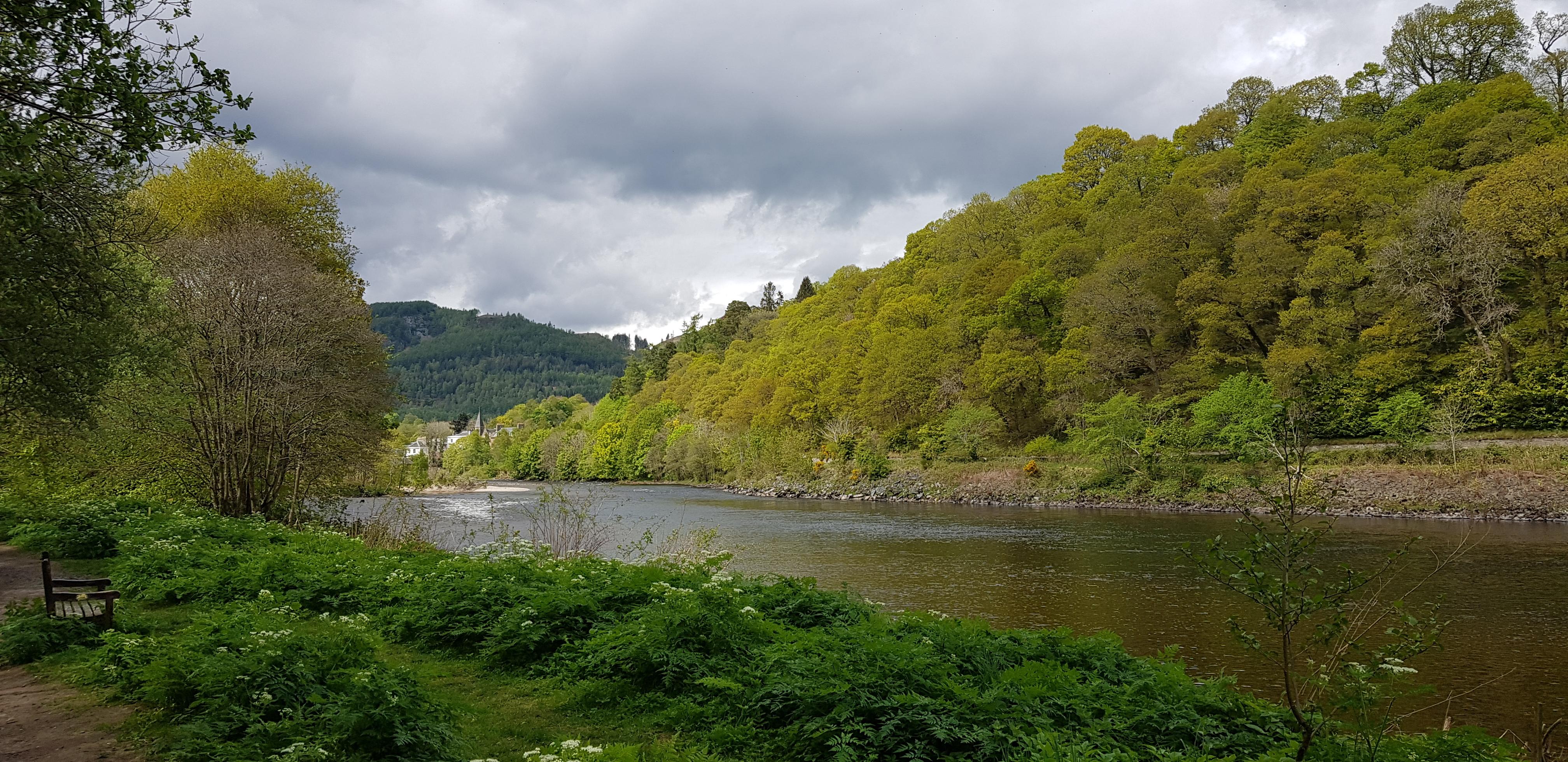 river and forest image